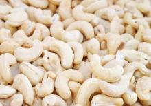 High quality dried raw cashew nuts