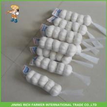 Pure White Garlic