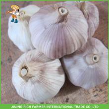 2015 New Crop Fresh Normal White Garlic 5.0CM Small Packing 500g/bag In 10kg/carton