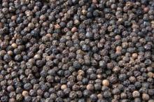 Black Pepper For Sale