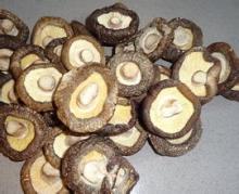  Shiitake  Mushrooms  White  Flower  Shiitake 