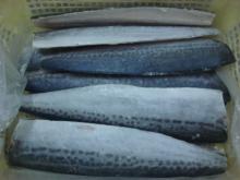 High quality  Frozen   Spanish   Mackerel   fillet  / fresh sea food