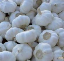 dehydrated vegetables on sales garlic for powder/granules/slice/flakes,mix  seasoning 