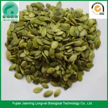 China Raw Pumpkin Seeds Pepitas