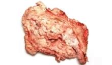 Frozen Beef Body Fat from Brazil