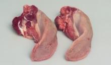 Frozen Beef Tongues