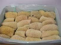 Brazilian Frozen Beef Honeycomb