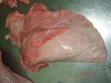 LUNGS