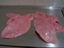 Frozen Lungs of Cow and Sheep for Human Consumption or Pet Food