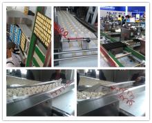 Automatic Food  conveyor  line (connected to tunnel oven)