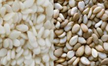 Premium Grade Natural Sesame Seed