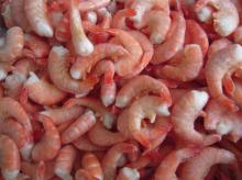  Frozen   Vannamei   Shrimp 