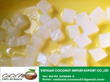 NATA DE COCO RAW MATERIAL