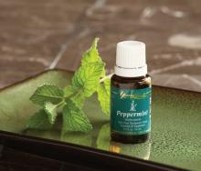  Peppermint  Essential  Oil 