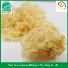 Health food dried whole tremella mushroom