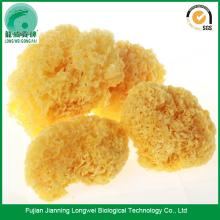 Snow fungus dessert and soup snow fungus benefits for skin