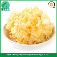 Dried white fungus nutrition facts and white fungus beauty benefits