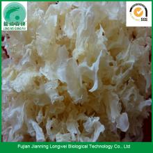 Dried tremella and white fungus benefits skin