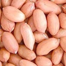 Peanut Kernel