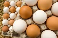 Fresh white and brown Chicken Eggs