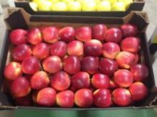 Gala Must apples