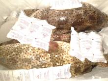 Grouper