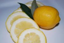  Citrus   Bioflavonoid s Extract