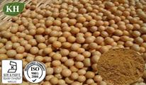 Natto Extract Nattokinase: 5000FU/G,12000FU/G,20000FU/G