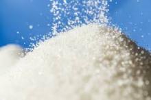GRADE A Refined Sugar for Sale at affordable prices