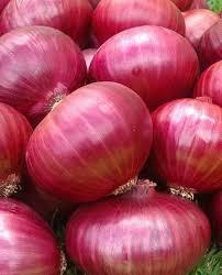 FRESH ONIONS For sale