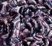 BLACK SPECKLED KIDNEY BEANS