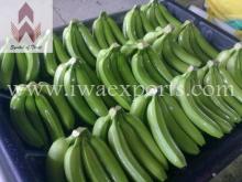 Fresh cavendish banana