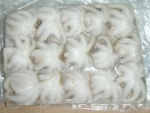 High quality seafood flowered frozen baby octopus