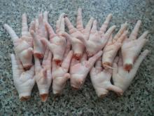 Quality Processed Frozen Chicken Paws Grade A