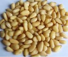  Pine  Nuts