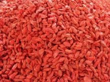 Copy of Supply Organic dries 380grains/50grams goji berries
