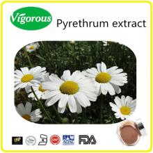 pure natural 20% Pyrethrin  Pyrethrum   Extract 