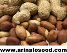 Looking for importers of peanut (workable price)