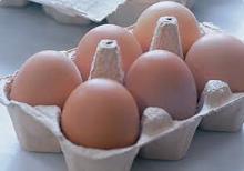 Fresh Chicken Eggs Exporters