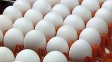 Farm Fresh Table White Eggs