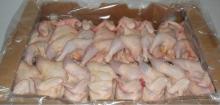 Frozen whole chicken (HALAL)