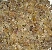Gum Talha cleaned, kibbled & powder