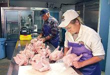 BRAZILIAN HALAL CERTIFIED WHOLE FROZEN CHICKEN