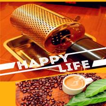 0-600g coffee bean roaster