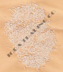 PK-386 Long Grain White Basmati Rice