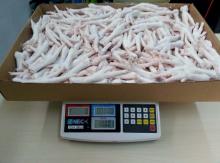 Frozen Chicken Feet And Paws