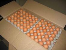 Fresh Brown Eggs