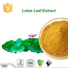 Pure natural weight loss 0.5%n nuciferine Lotus Leaf Extract