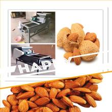 shell  Apricot   machine 