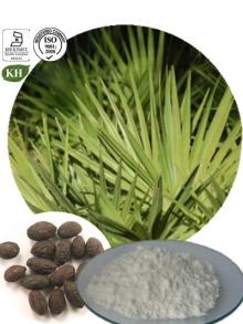 100% Natural Saw Palmetto Extract: Total Fatty Acids 25%-45%